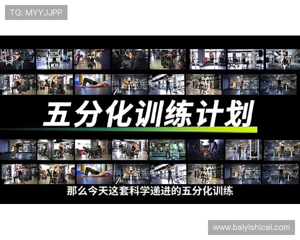 科学健身与饮食计划全攻略助你快速塑形与增肌的有效方法